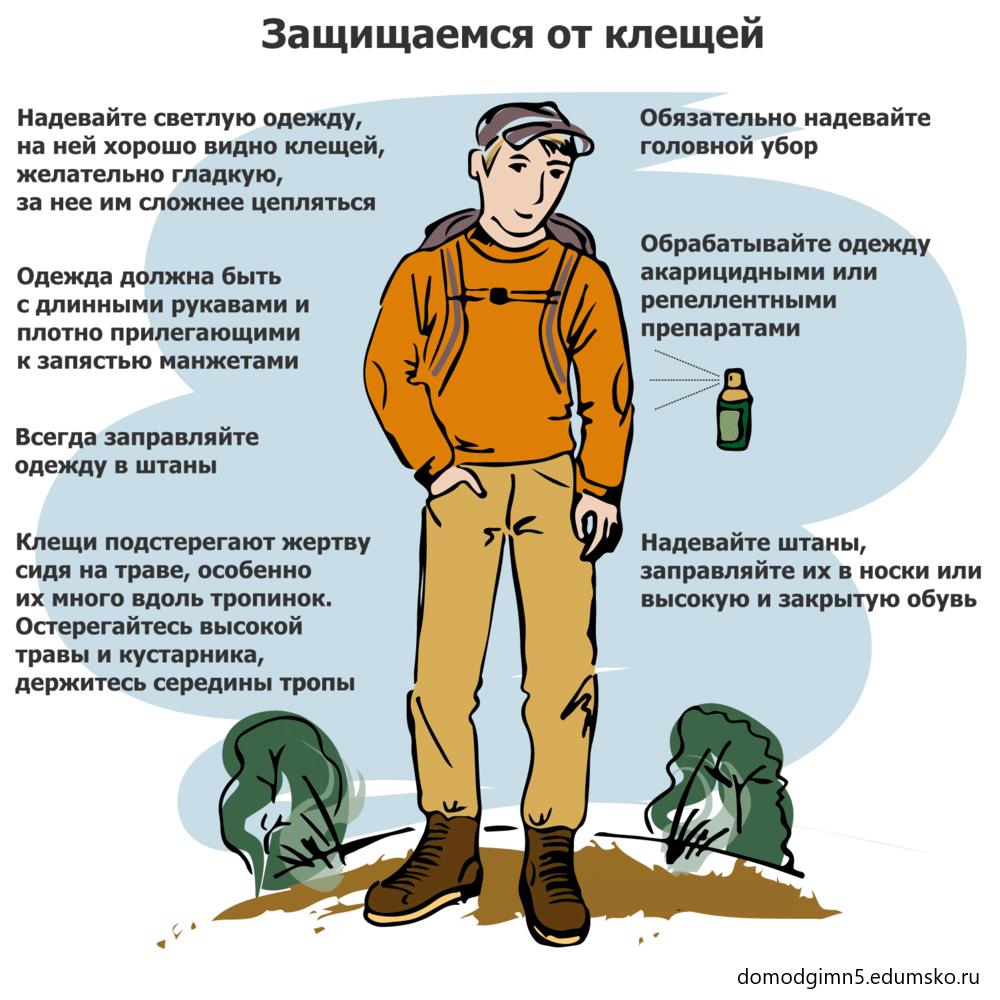 Клещи проснулись