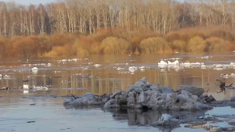 УРОВЕНЬ ВОДЫ В ВЯТКЕ РАСТЕТ