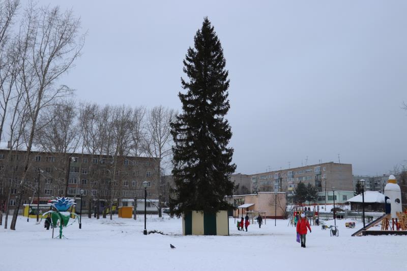 Двадцать метров новогоднего настроения