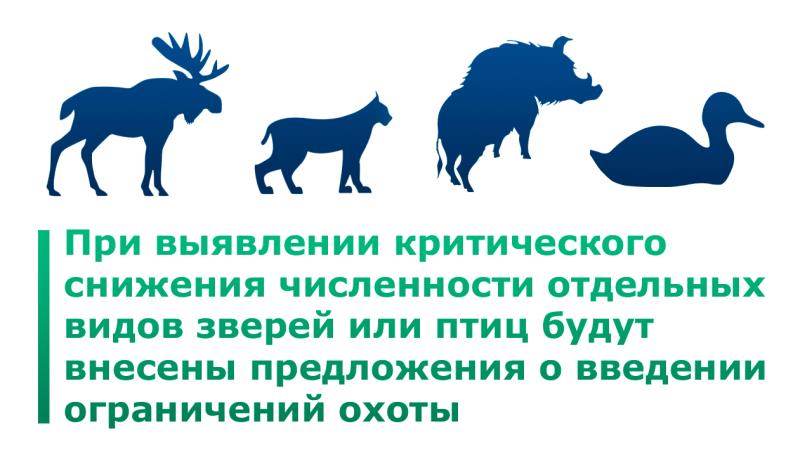 Будет пройдено более трех тысяч маршрутов