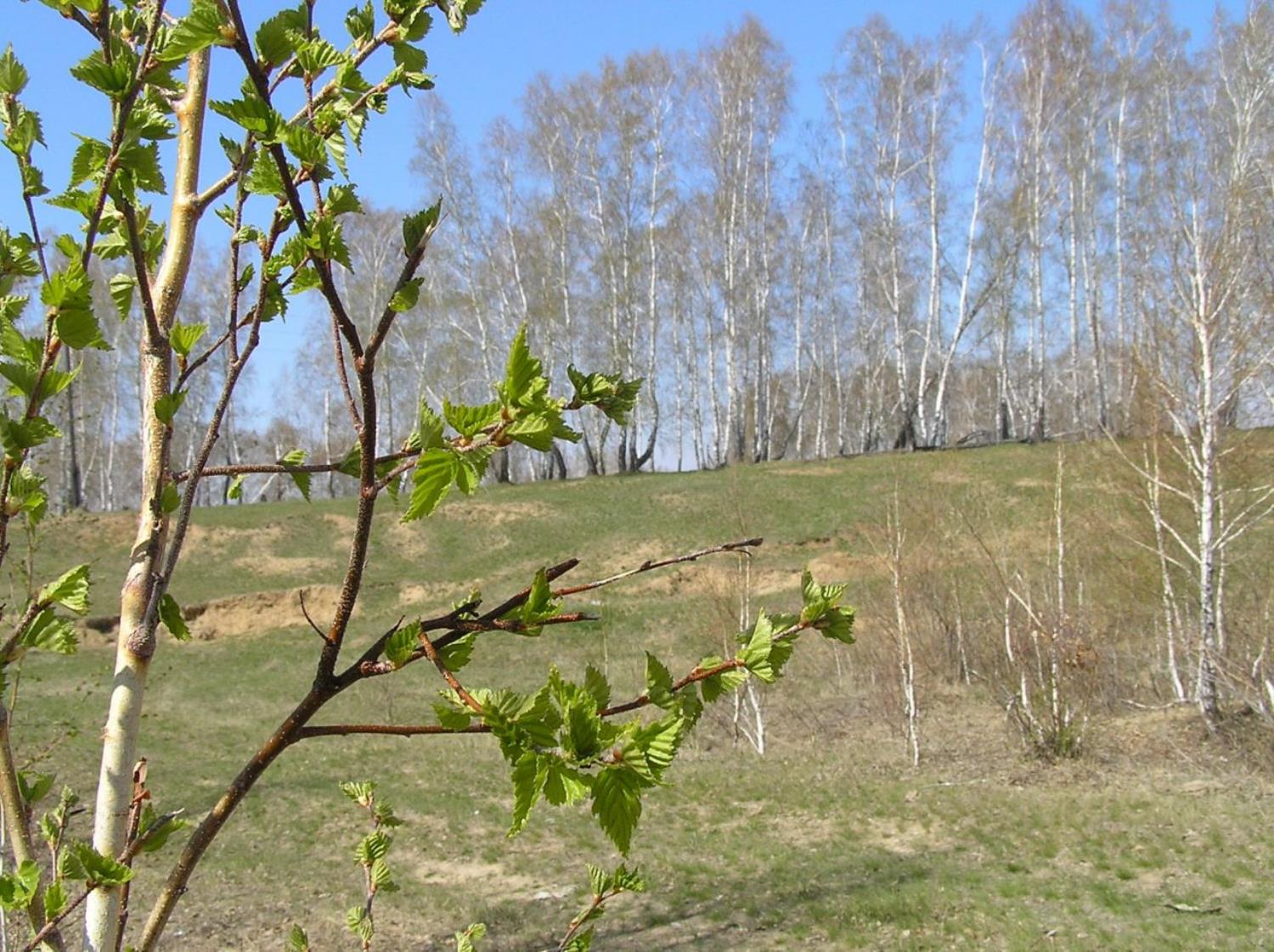 Пора доставать летние вещи