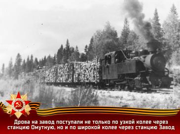 Дрова на завод поступали не только по узкой колее через станцию Омутную, но и по широкой колее через станцию Завод