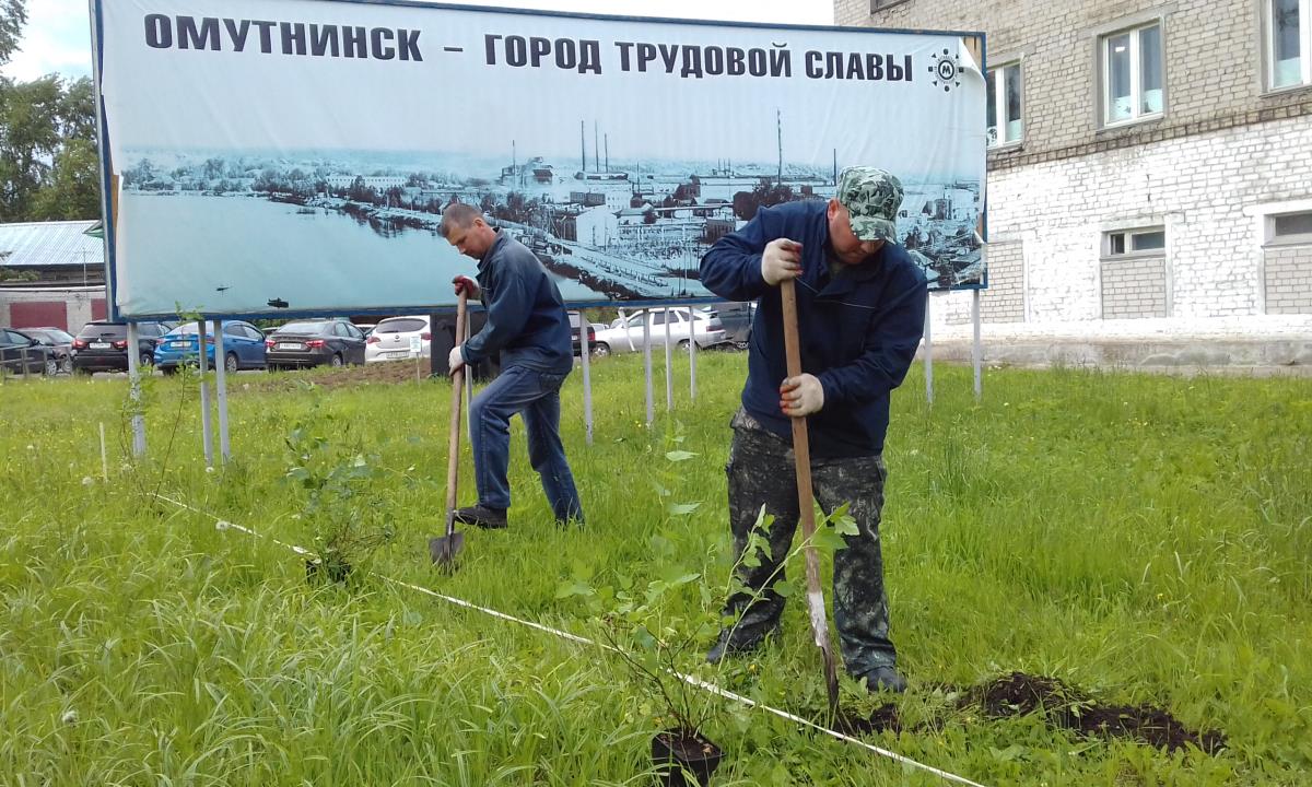 Кустарник украсит площадь