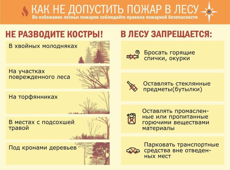 Чтобы не допустить природного пожара