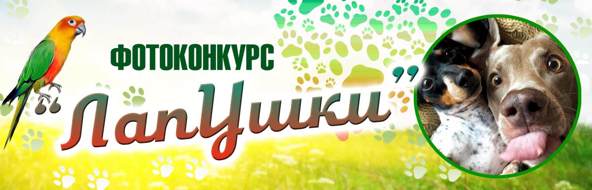 Участница фотоконкурса Екатерина Гирева