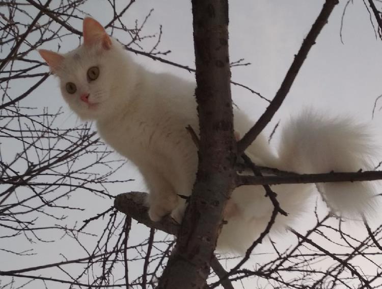 Егор Исупов и кошка_3