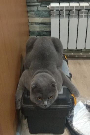 Бояринцева Лариса_1