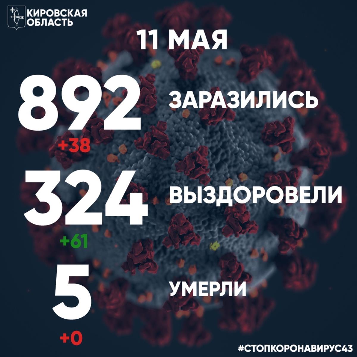 38 новых случаев / Мой Омутнинск