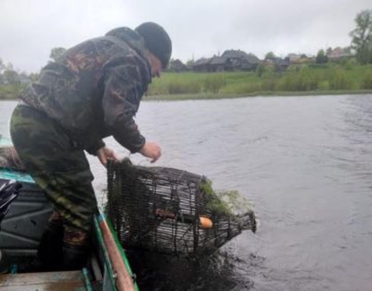 Борьба с браконьерством продолжается 