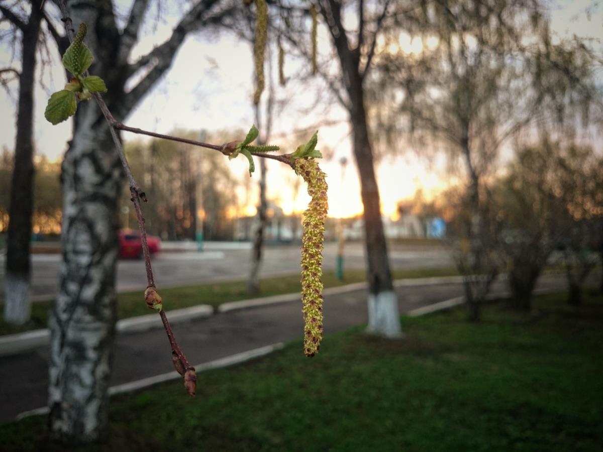 Когда закончится бабье лето?