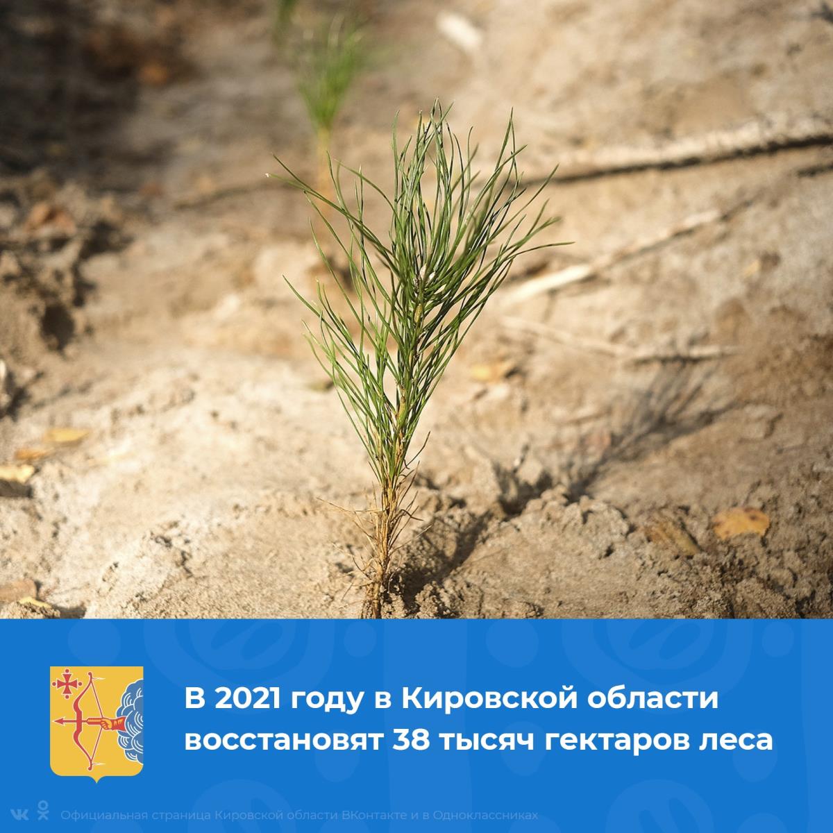 Берегите лес! 