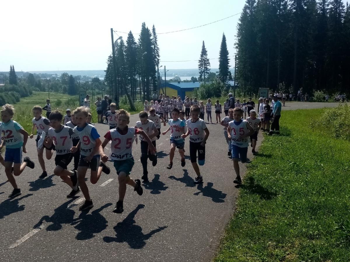 Приняли участие более ста спортсменов 