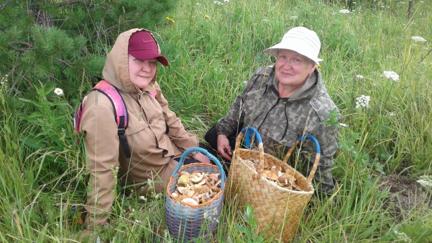 Грибной сезон в Духовницком