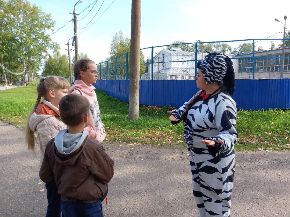 По улицам города прошлась Зебра