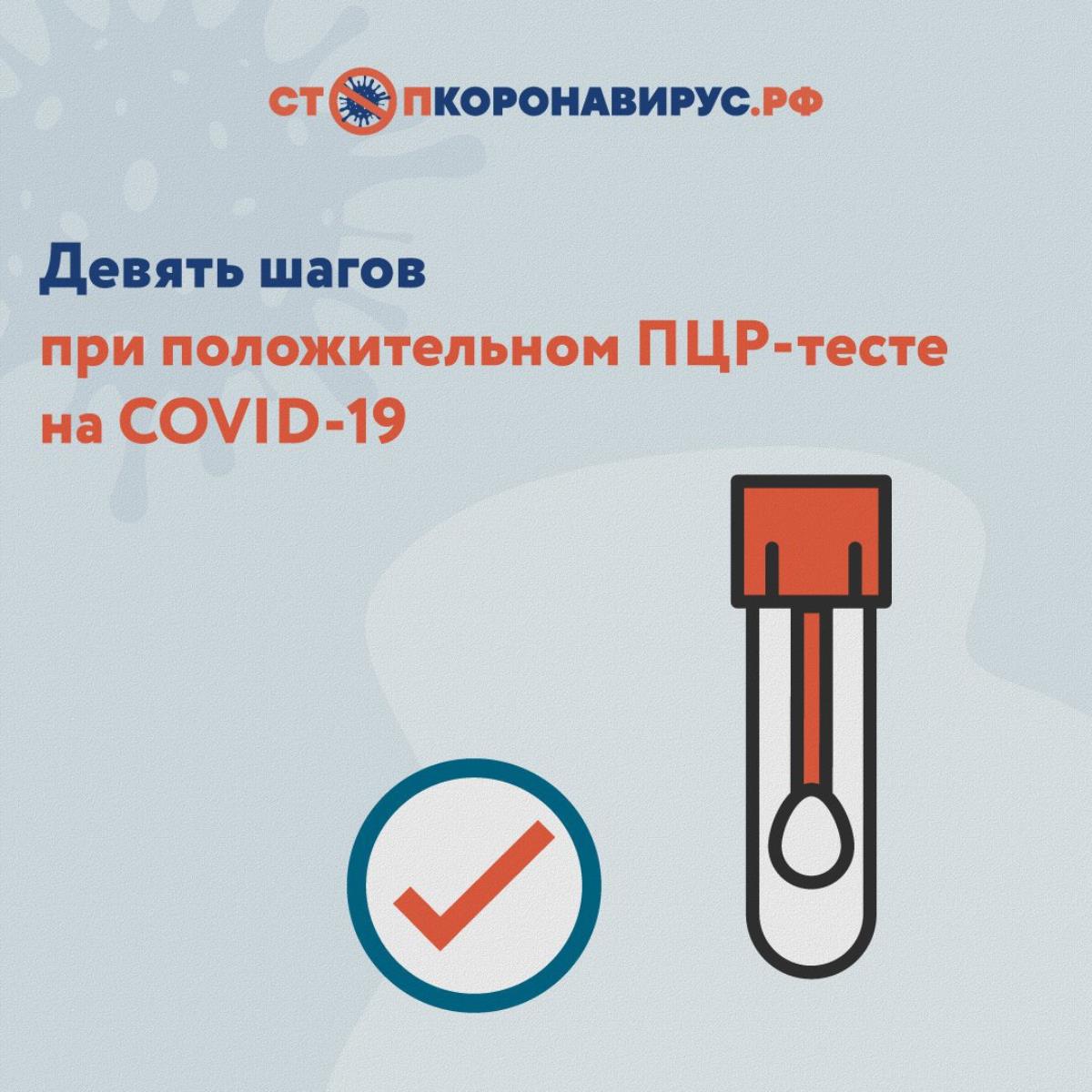 Главное — без паники!