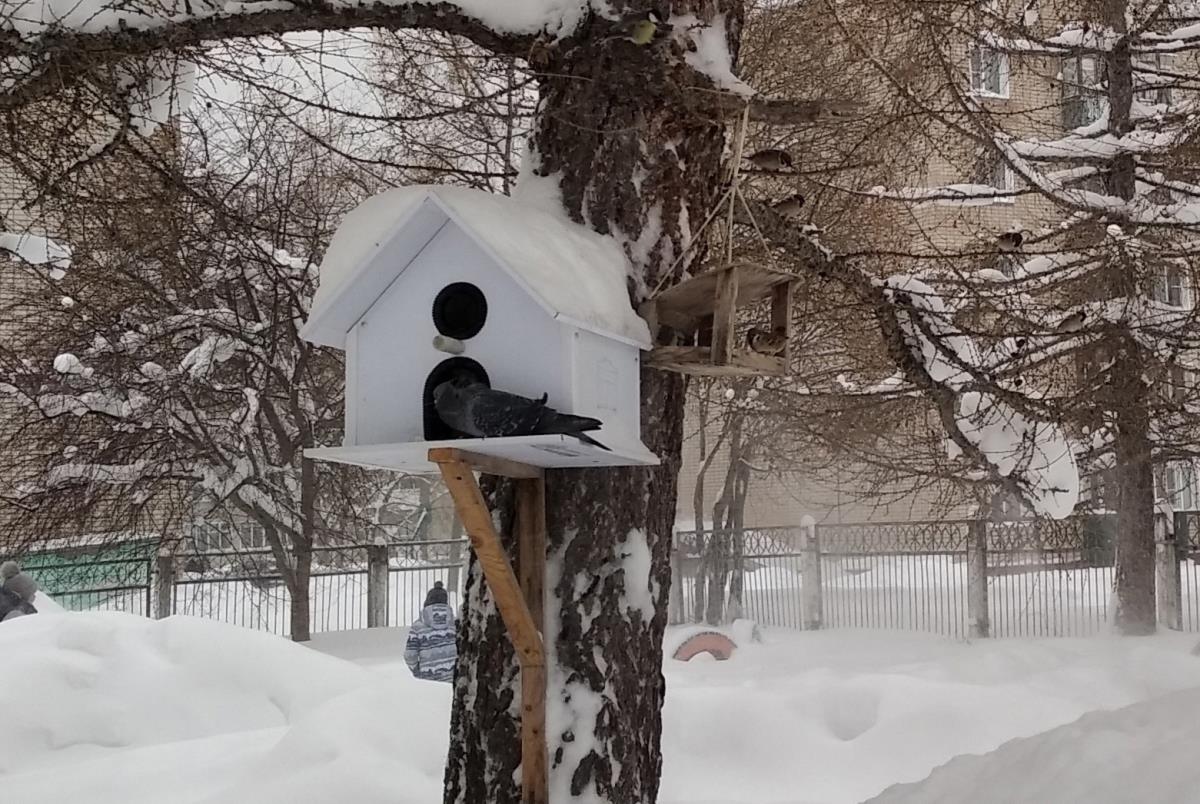 Полезно и познавательно