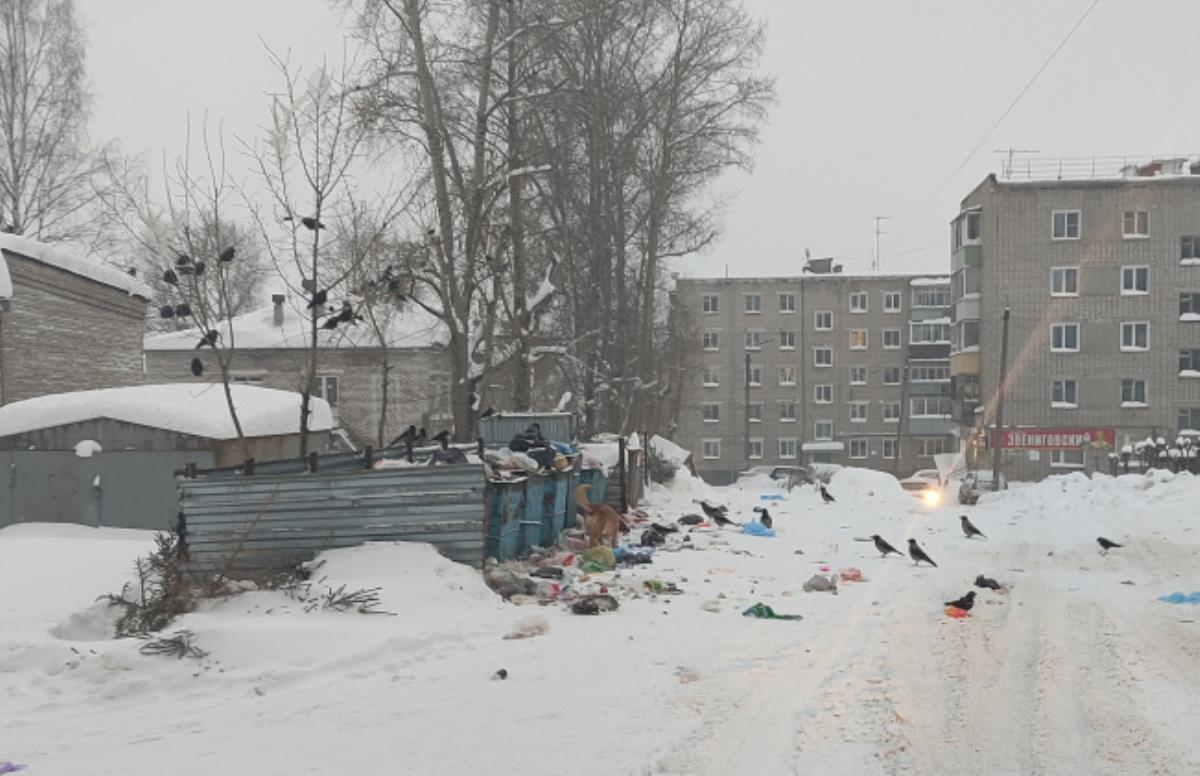 На радость собакам и птицам