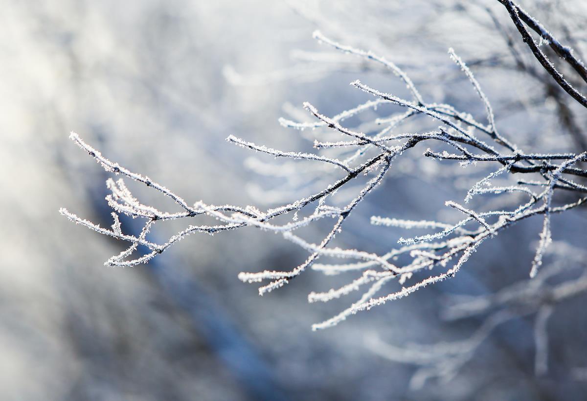 15 февраля - облачно