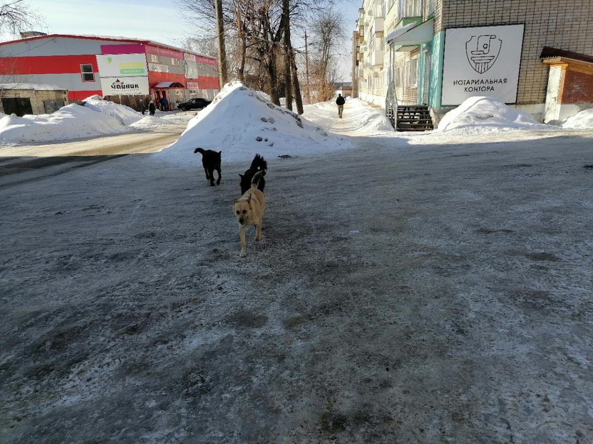 С района – на область