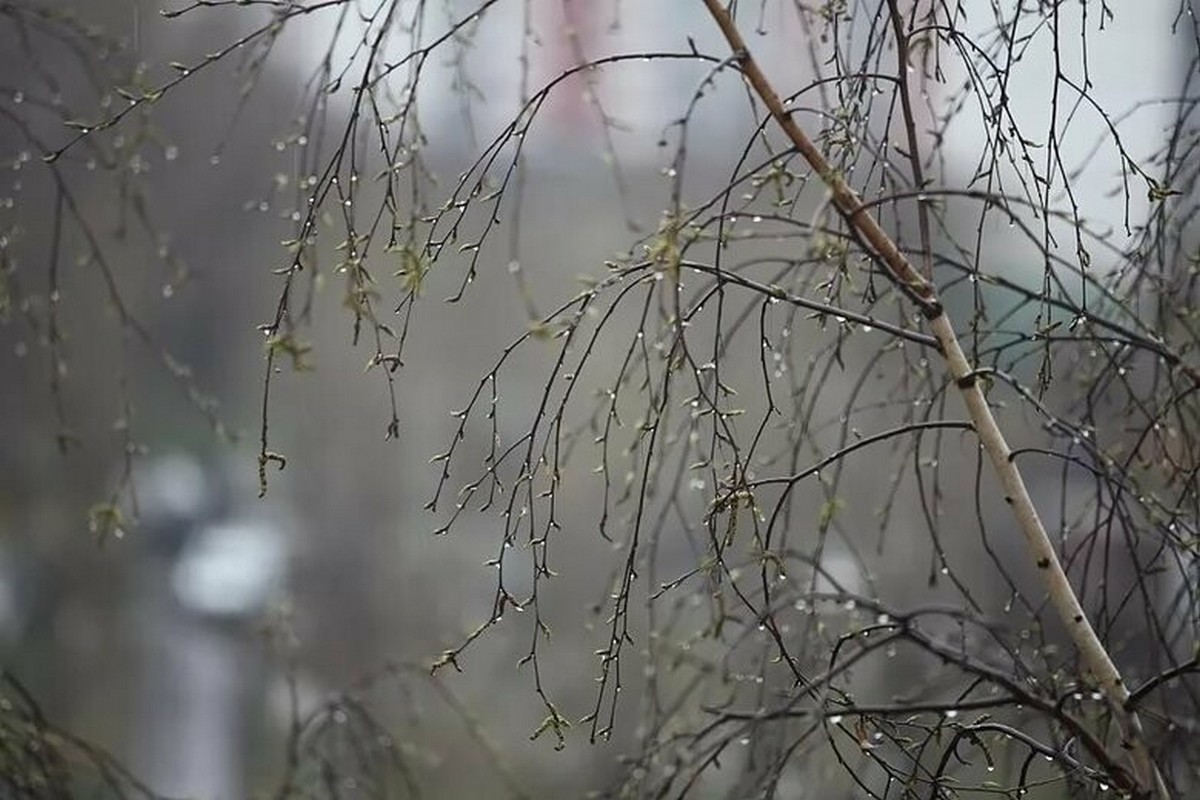 Пойдет небольшой дождь