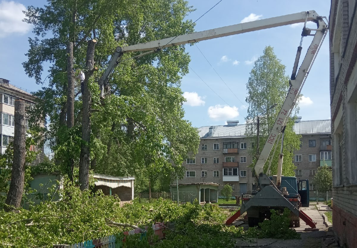 Помогли убрать старые тополя