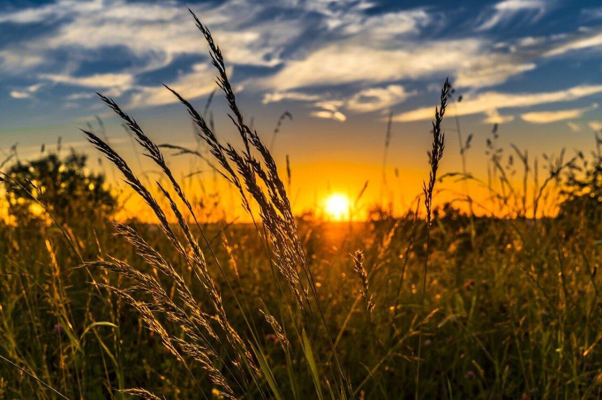 Солнечно и жарко