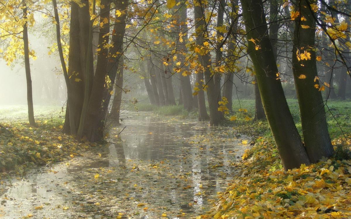 Золотая осень