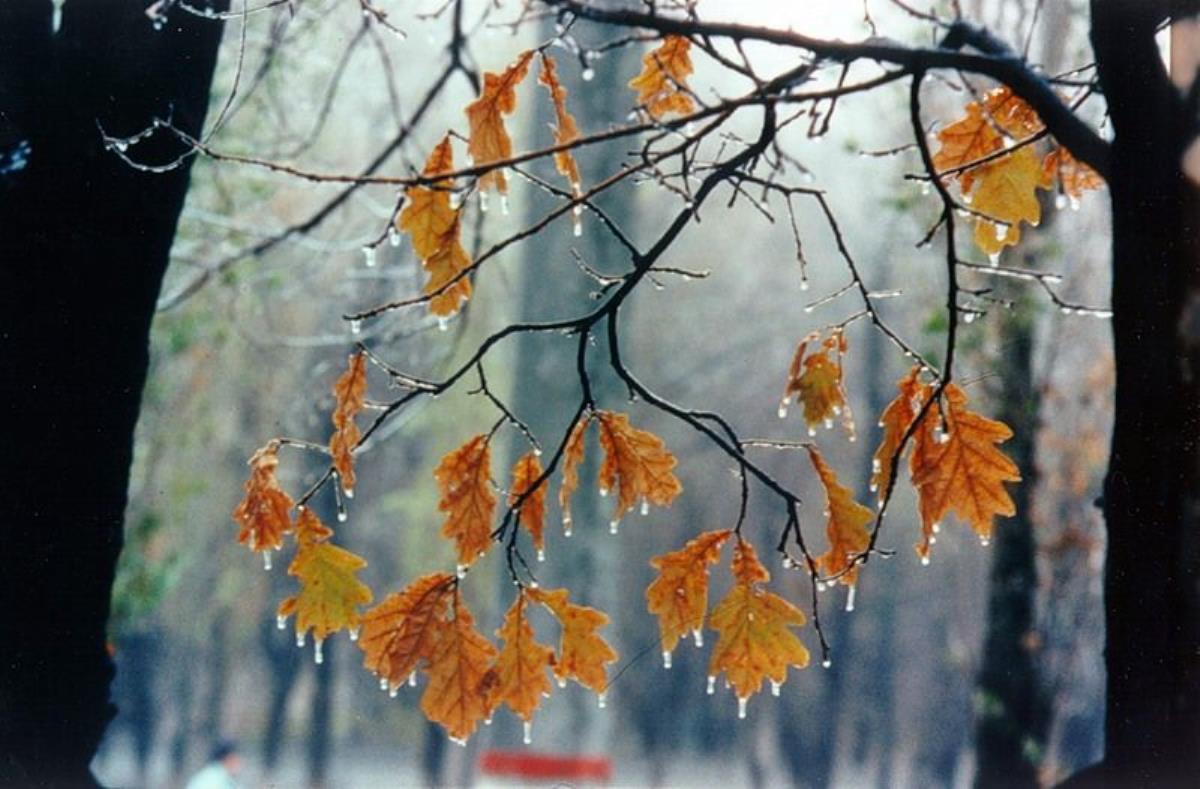 Температура становится ниже