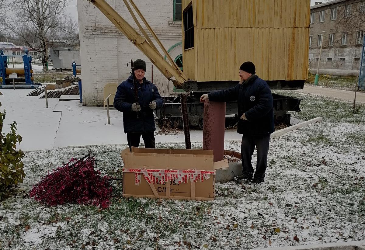 В окружении огней и гирлянд