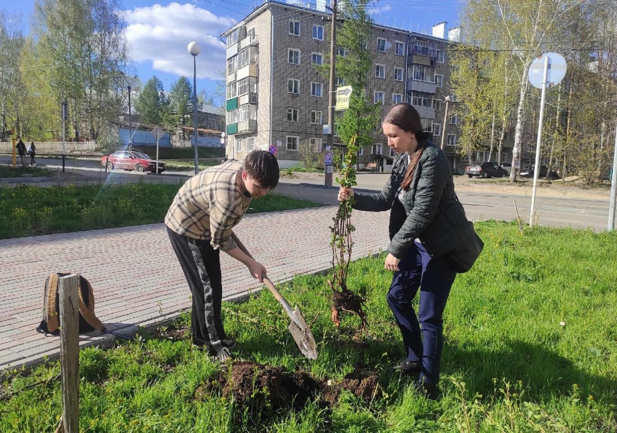 Проведены мероприятия по озеленению Омутнинска