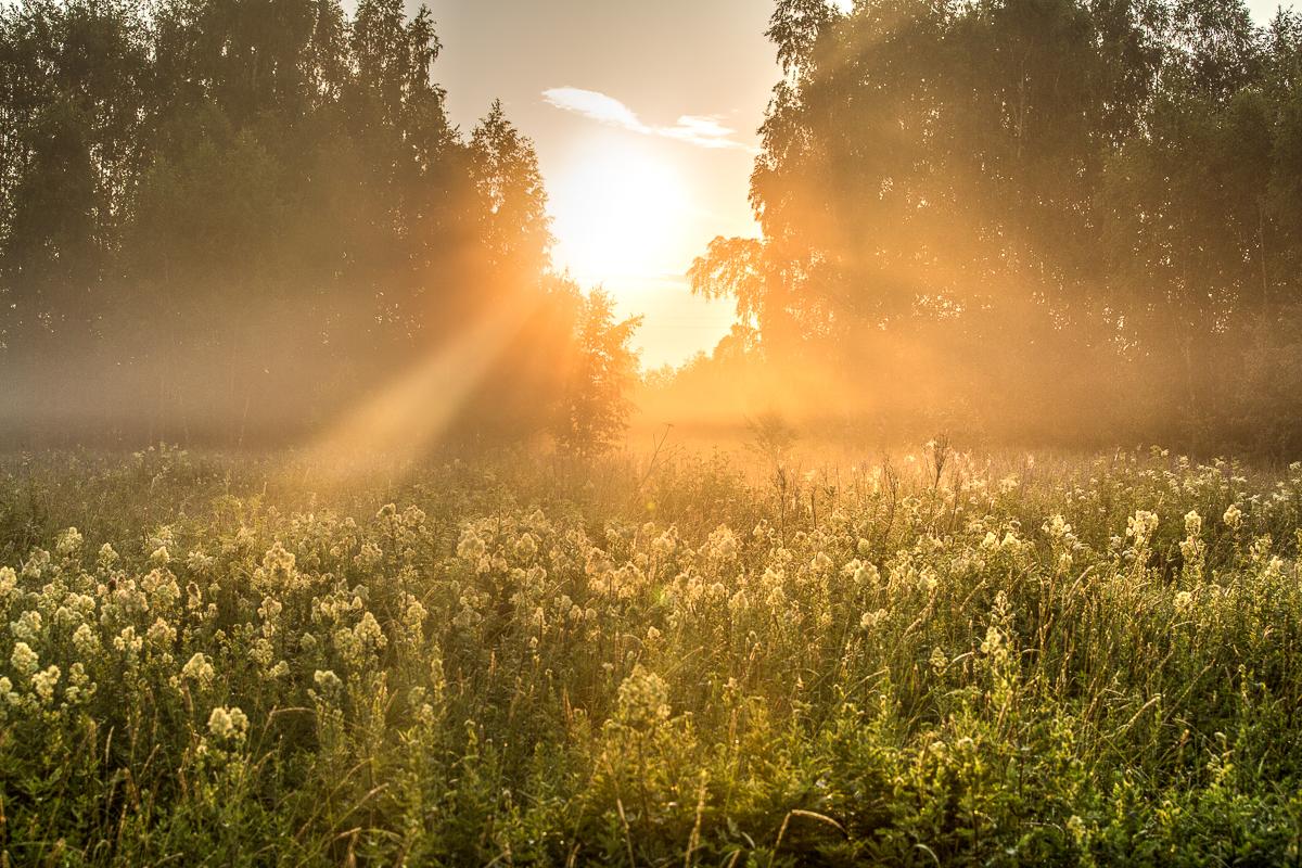 Знойное лето