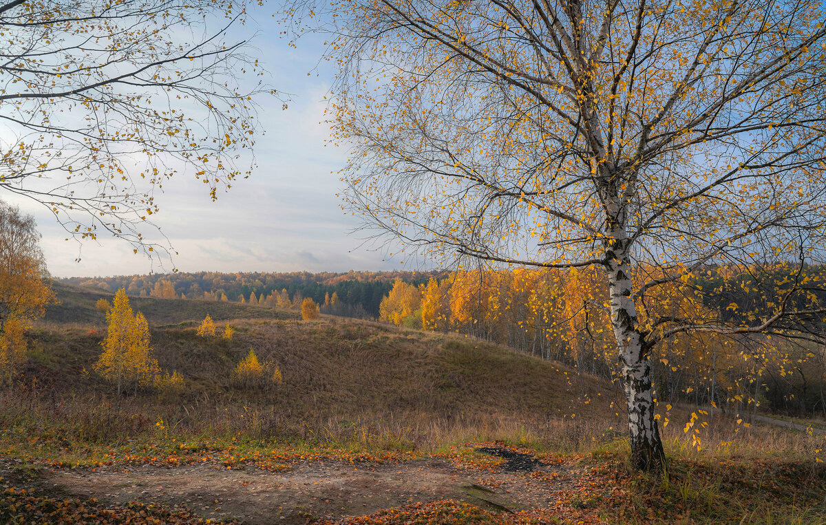 Днем без осадков