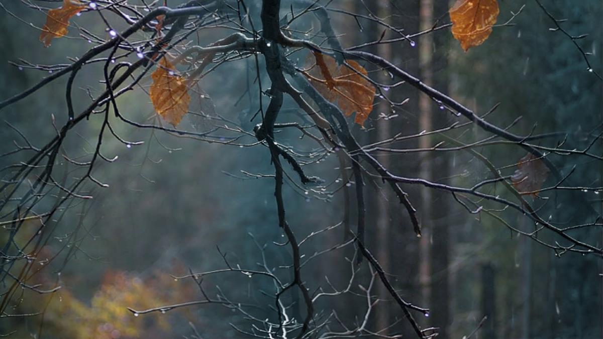 Осень не балует солнцем