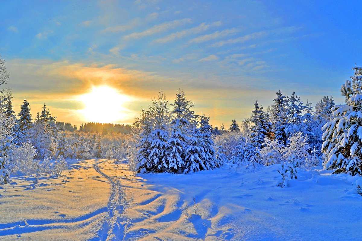 Мороз и солнце — день чудесный