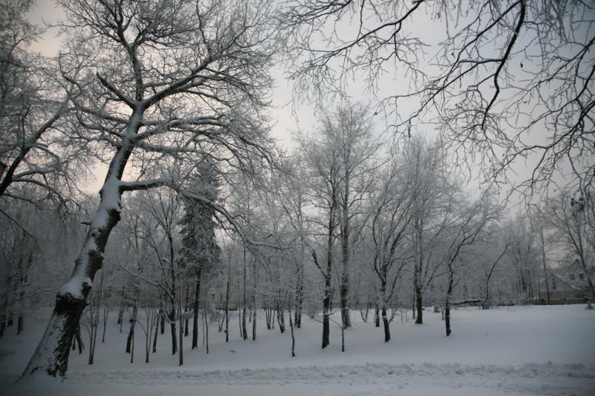 Резкие перепады температуры