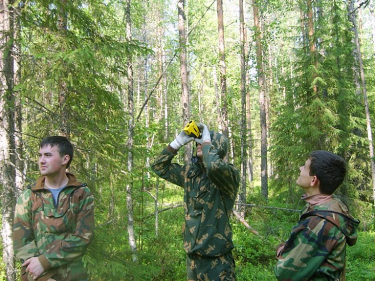 В Кировской области введены выплаты для молодых лесников