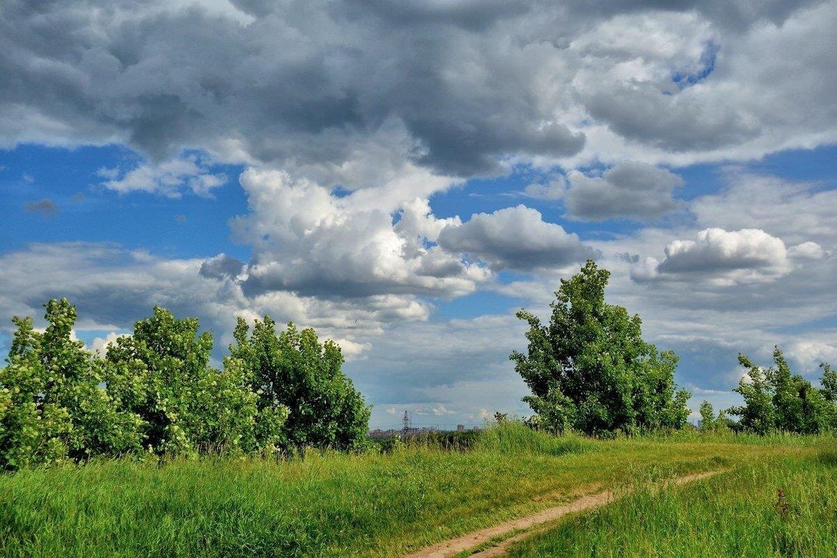 Ночью возможны заморозки