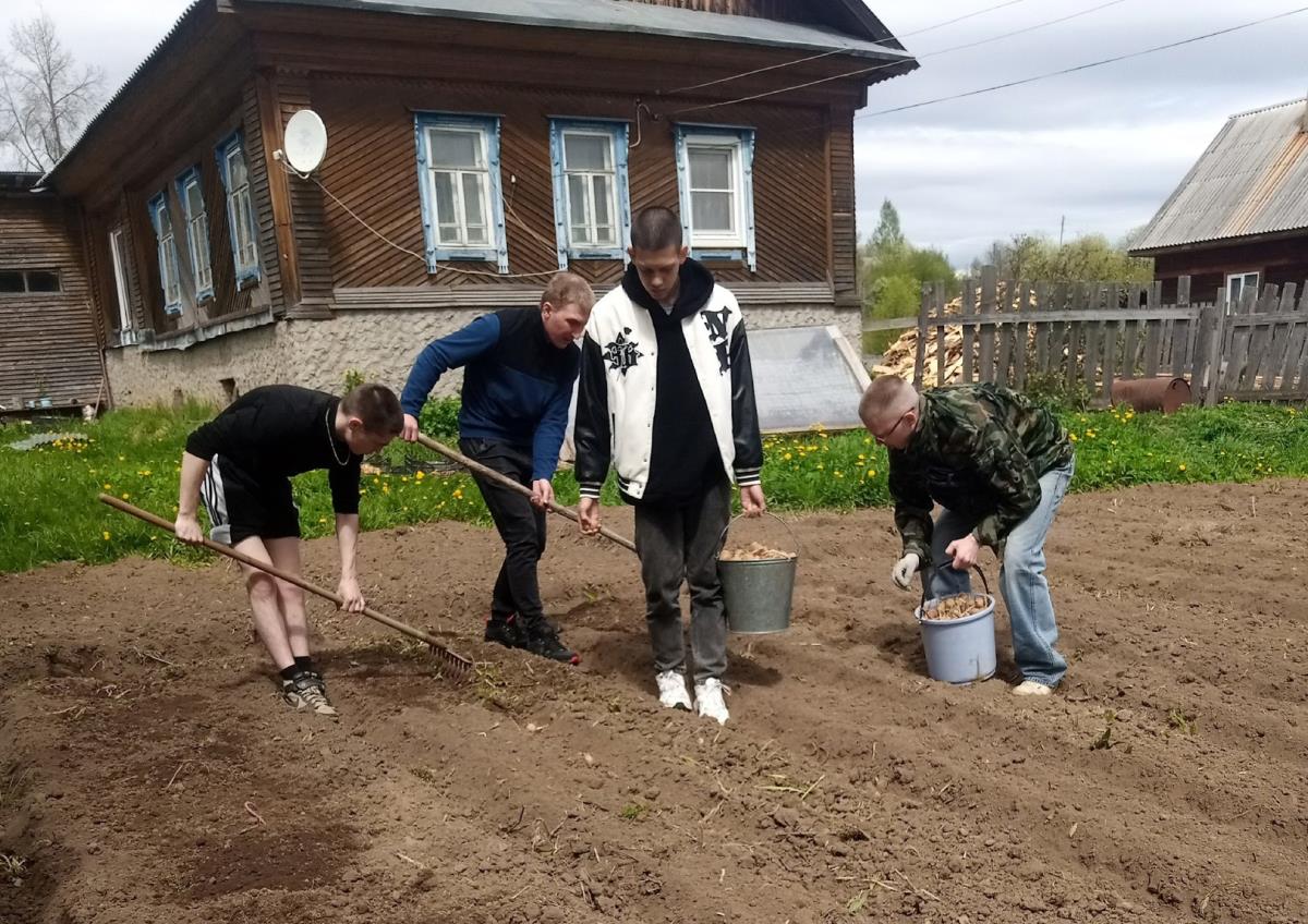 Студенты вышли на трудовой десант