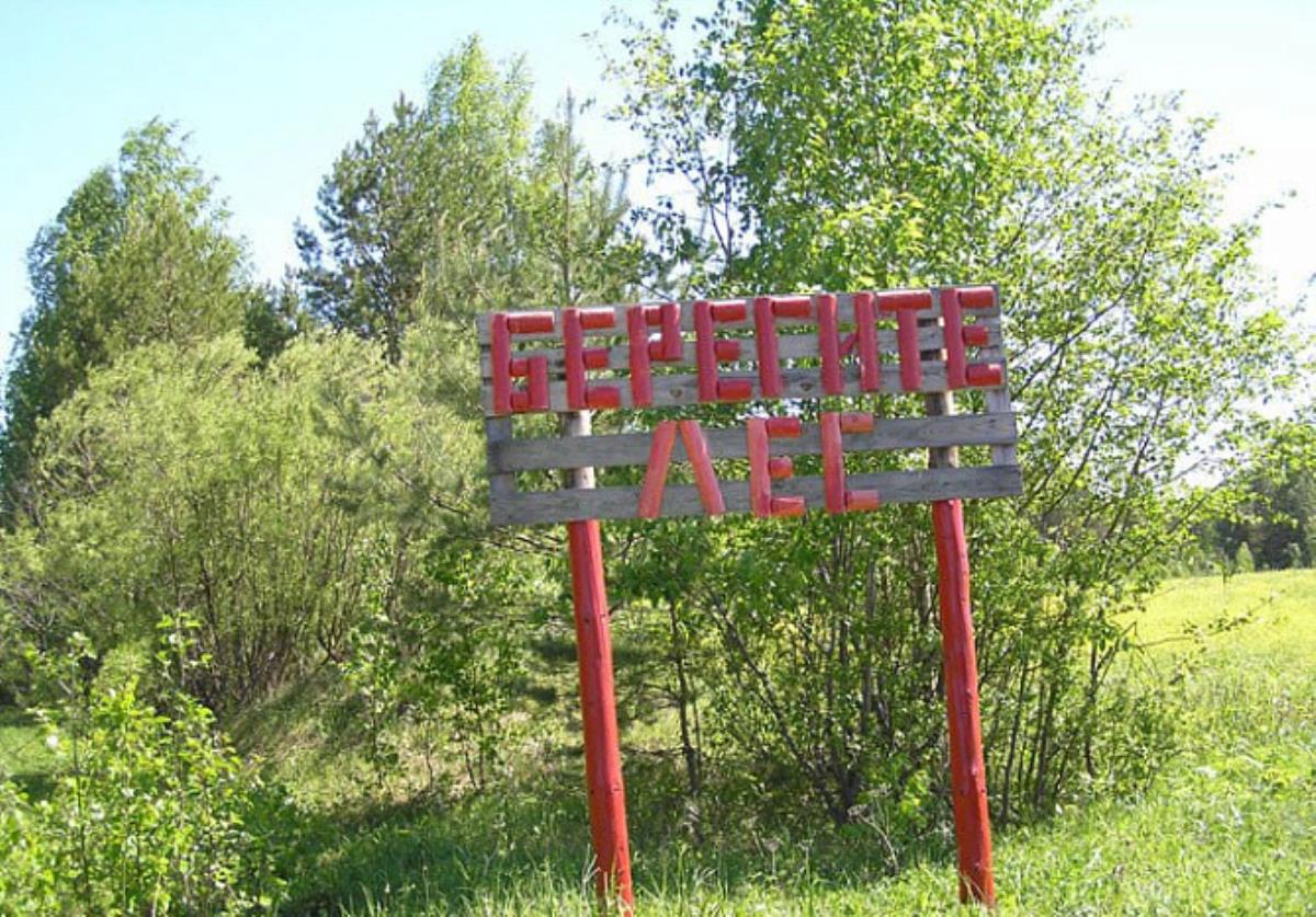 В лесах Кировской области установлен особый противопожарный режим |  29.05.2024 | Омутнинск - БезФормата