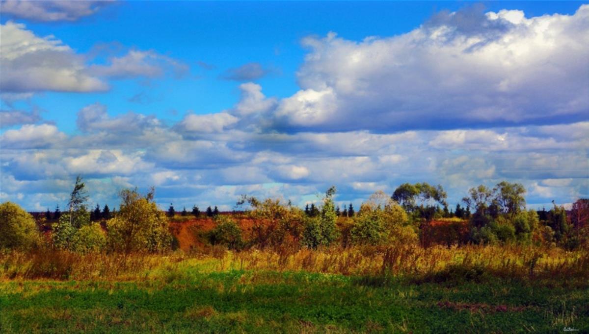 Днем немного потеплеет