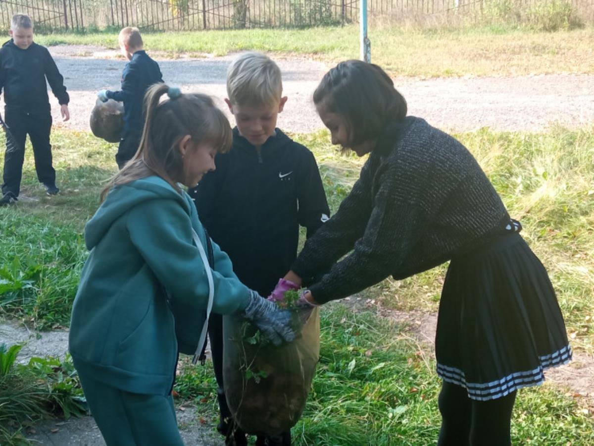 Экодень календаря