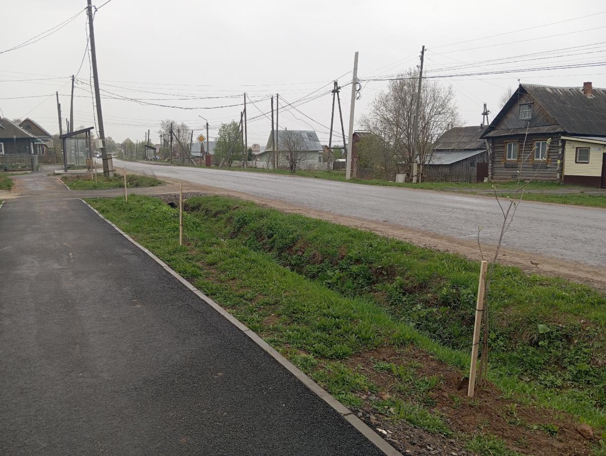 Принимаются предложения по озеленению города / Мой Омутнинск