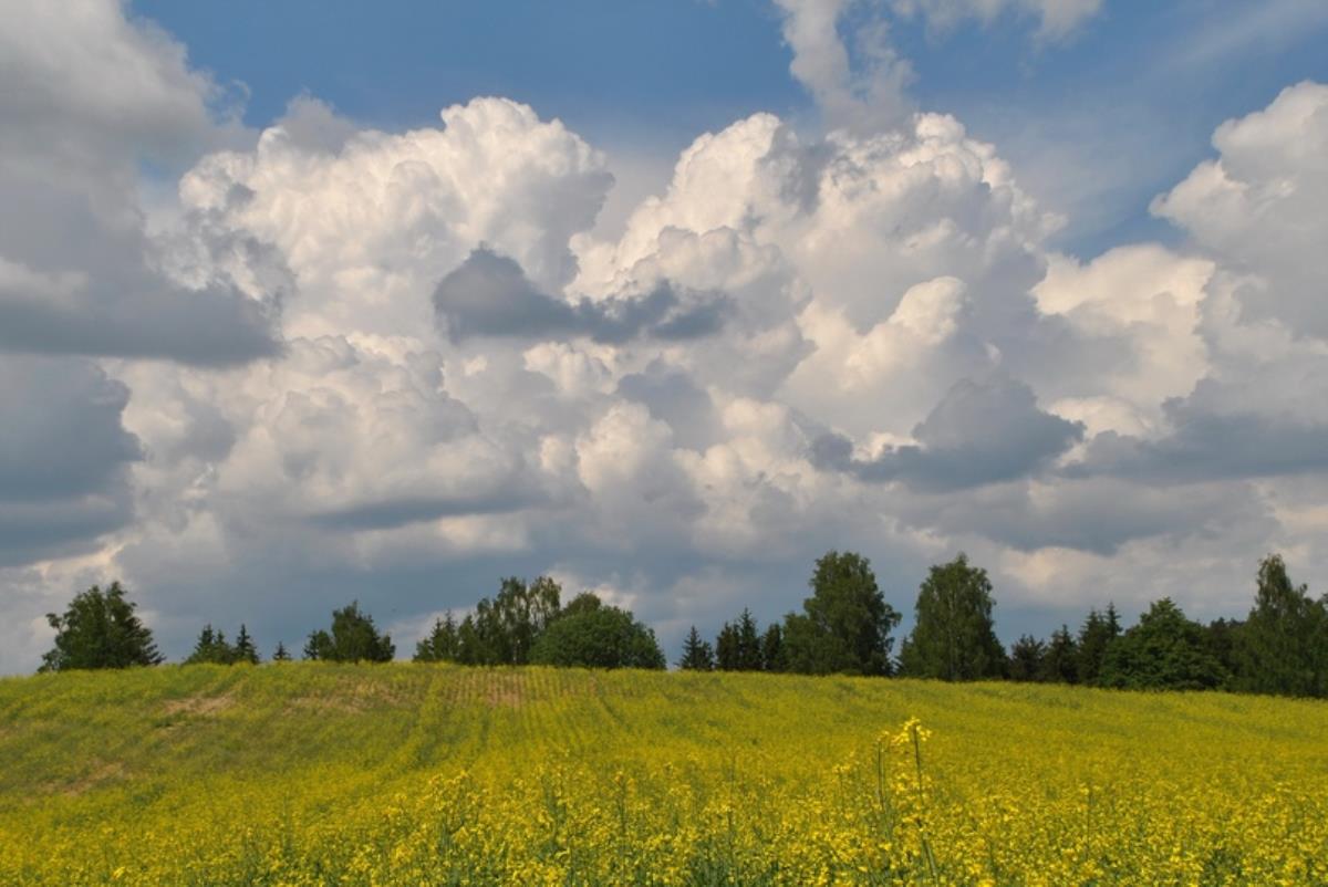 Облачно с прояснениями