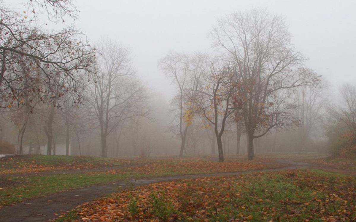 Температура выше нормы