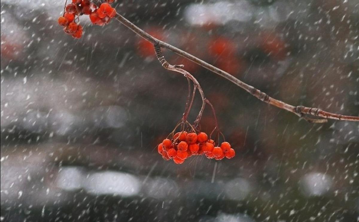 Дождь со снегом