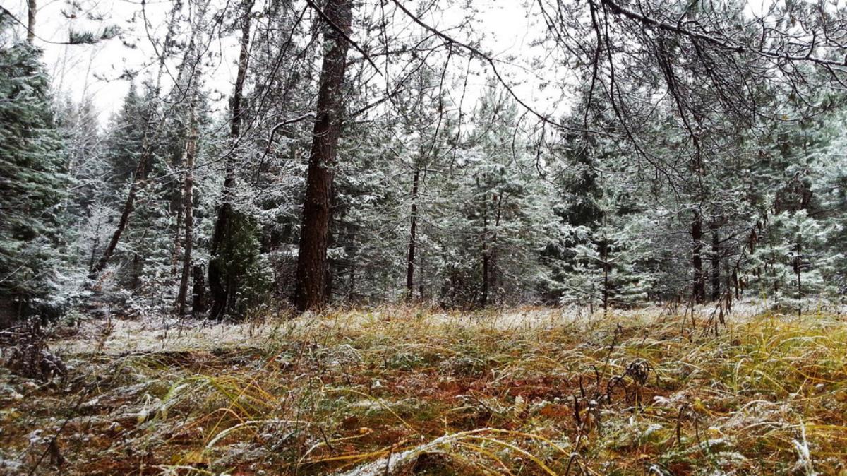 На улице похолодает