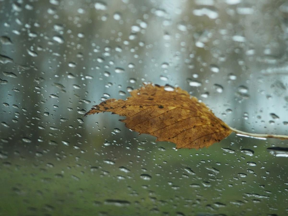 Дожди продолжаются