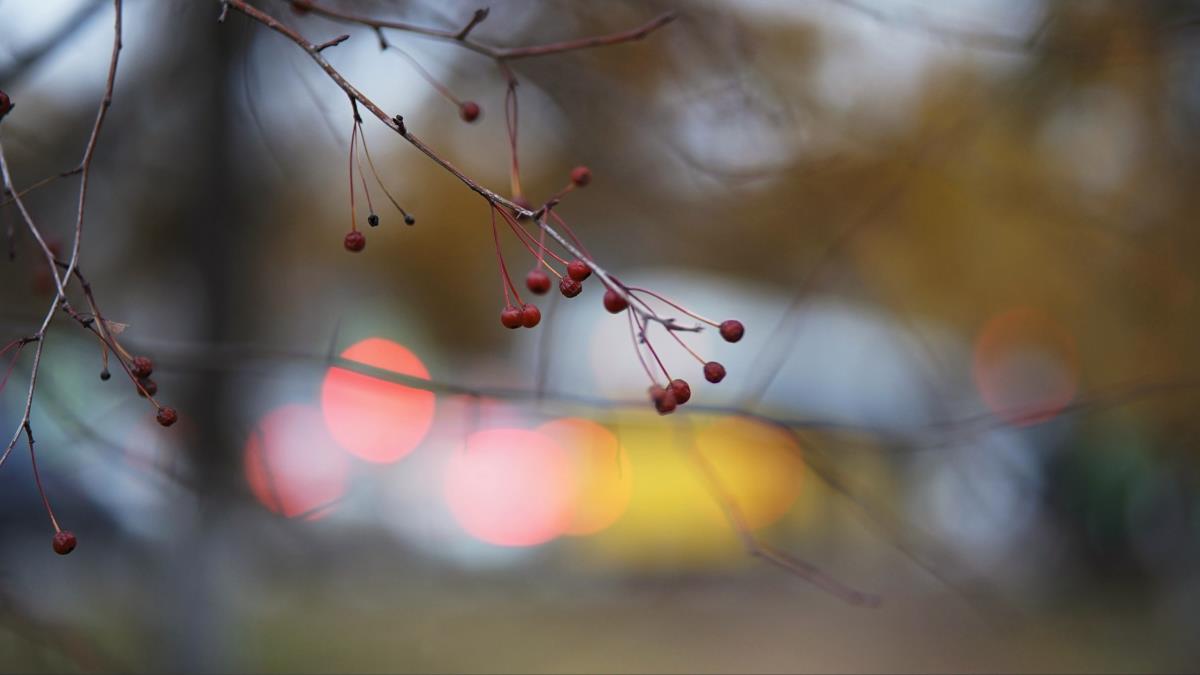 Ненадолго выглянет солнце