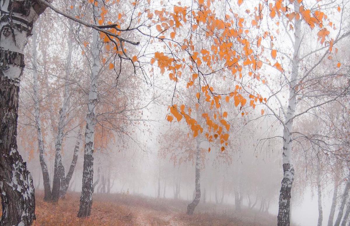 Ночью ожидается минус