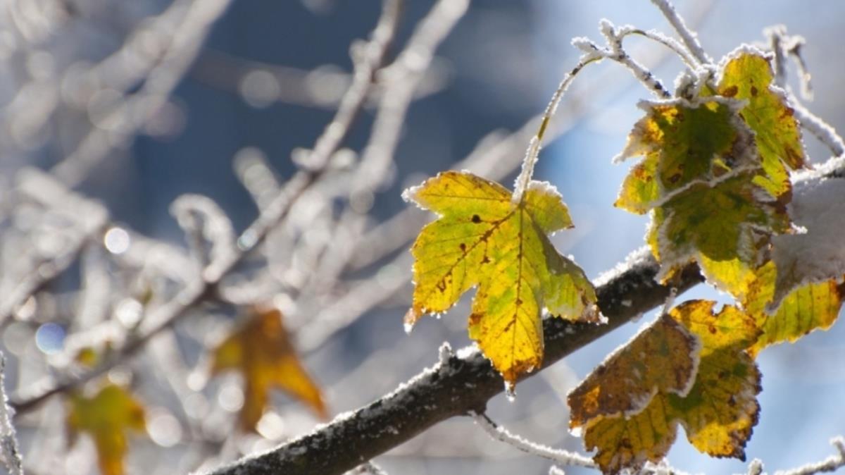 Без существенных осадков